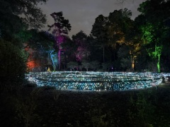 Christmas-Lights-2025-19