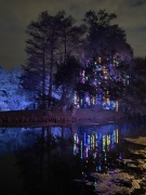 Christmas-Lights-2025-23