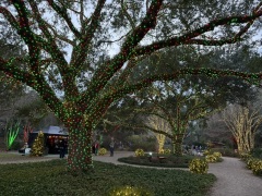 Christmas-Lights-2025-25