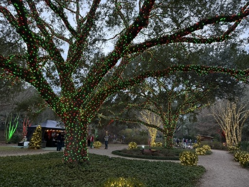 Christmas-Lights-2025-25