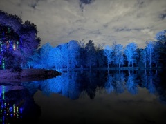 Christmas-Lights-2025-26