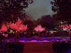 Christmas-Lights-2025-28