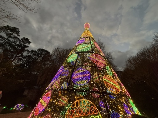 Christmas-Lights-2025-32