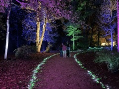 Christmas-Lights-2025-33