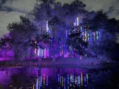 Christmas-Lights-2025-34