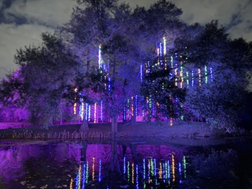 Christmas-Lights-2025-34