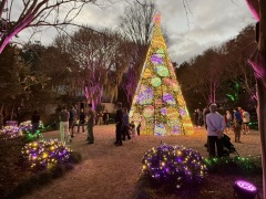 Christmas-Lights-2025-35