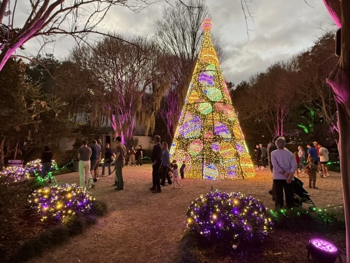 Christmas-Lights-2025-35