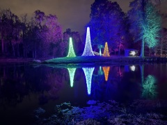 Christmas-Lights-2025-36