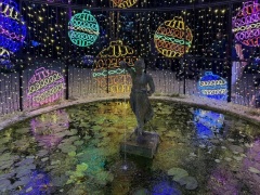 Christmas-Lights-2025-39