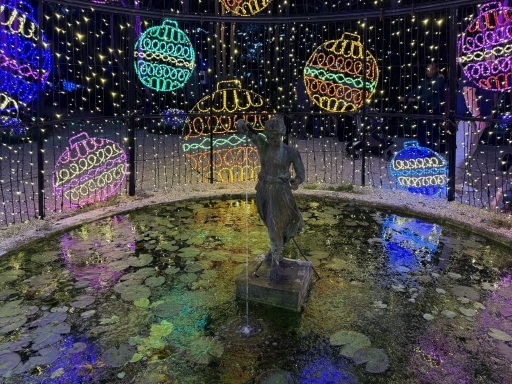 Christmas-Lights-2025-39