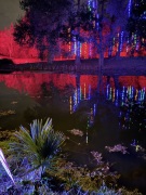 Christmas-Lights-2025-42