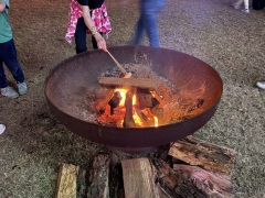 Christmas-Lights-2025-43