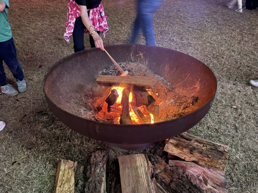 Christmas-Lights-2025-43