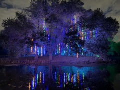 Christmas-Lights-2025-44