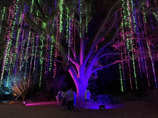 Christmas-Lights-2025-45