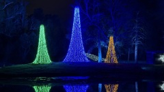 Christmas-Lights-2025-46