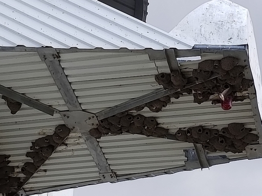 Big-Bear-Solar-Observatory-03