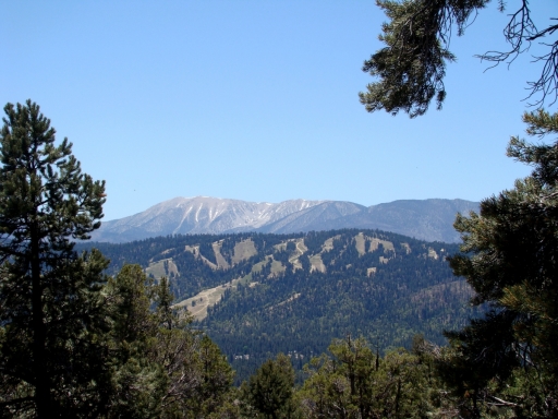 Cougar-Crest-Trail-to-Bertha-Peak-03