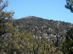 Cougar-Crest-Trail-to-Bertha-Peak-04