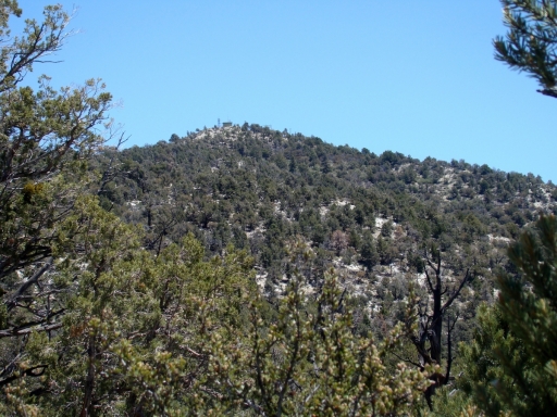 Cougar-Crest-Trail-to-Bertha-Peak-04