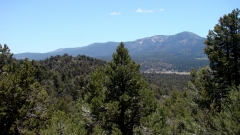 Cougar-Crest-Trail-to-Bertha-Peak-05