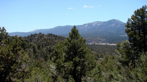 Cougar-Crest-Trail-to-Bertha-Peak-05