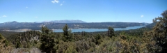 Cougar-Crest-Trail-to-Bertha-Peak-10