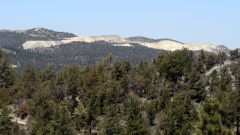 Cougar-Crest-Trail-to-Bertha-Peak-12