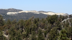 Cougar-Crest-Trail-to-Bertha-Peak-12