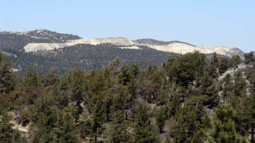 Cougar-Crest-Trail-to-Bertha-Peak-12