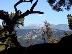 Cougar-Crest-Trail-to-Bertha-Peak-15