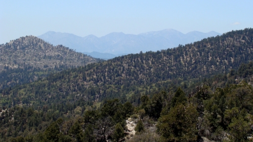 Cougar-Crest-Trail-to-Bertha-Peak-19