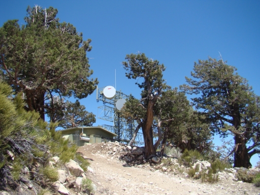Cougar-Crest-Trail-to-Bertha-Peak-20