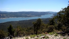 Cougar-Crest-Trail-to-Bertha-Peak-28
