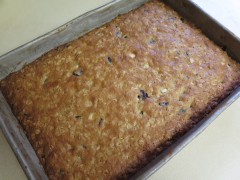 IMG_3995-2
