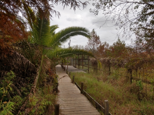 IMG_20181123_124411711_HDR