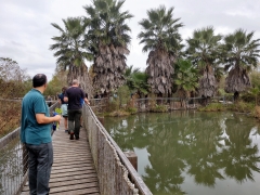 IMG_20181123_124702166_HDR