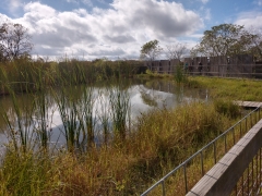 IMG_20181123_131644254_HDR
