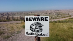 Badlands-Rattlesnake Sign