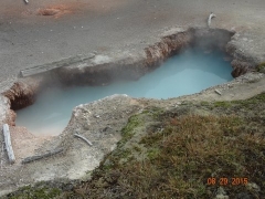 more Yellowstone pictures (11)