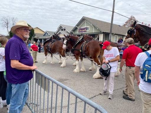 clydesdale-horses-IMG_8926