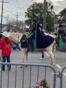 masked-horse-rider-IMG_8980
