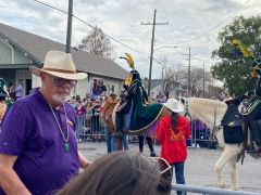 masked-horse-rider-IMG_8981