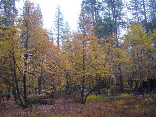 Fall-Color-at-Yosemite-01