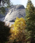 Fall-Color-at-Yosemite-03