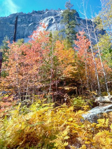 Fall-Color-at-Yosemite-07