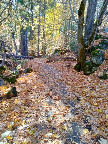 Fall-Color-at-Yosemite-08