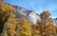 Fall-Color-at-Yosemite-14
