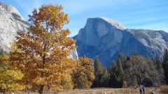 Fall-Color-at-Yosemite-15